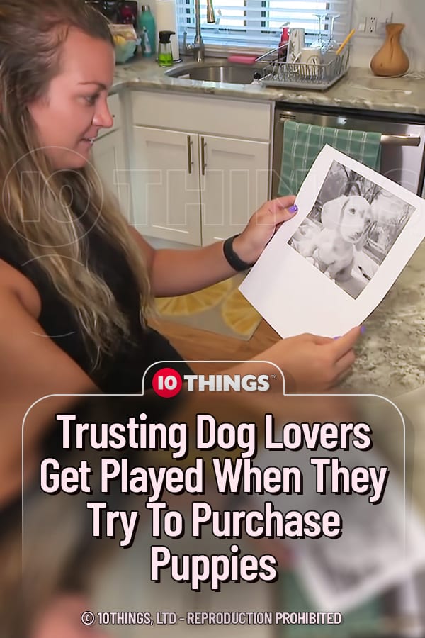 Trusting Dog Lovers Get Played When They Try To Purchase Puppies