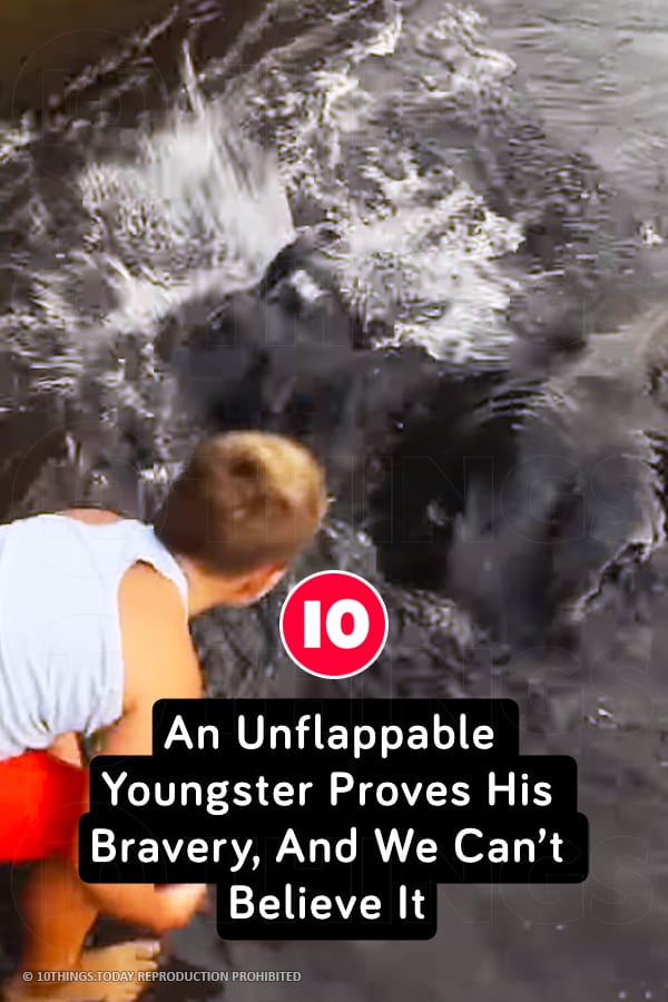 An Unflappable Youngster Proves His Bravery, And We Can’t Believe It