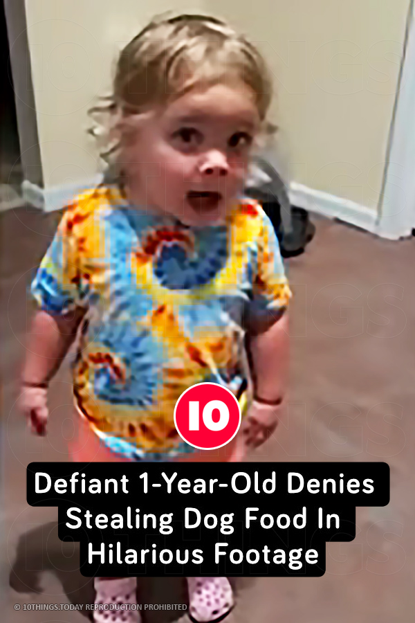 Defiant 1-Year-Old Denies Stealing Dog Food In Hilarious Footage