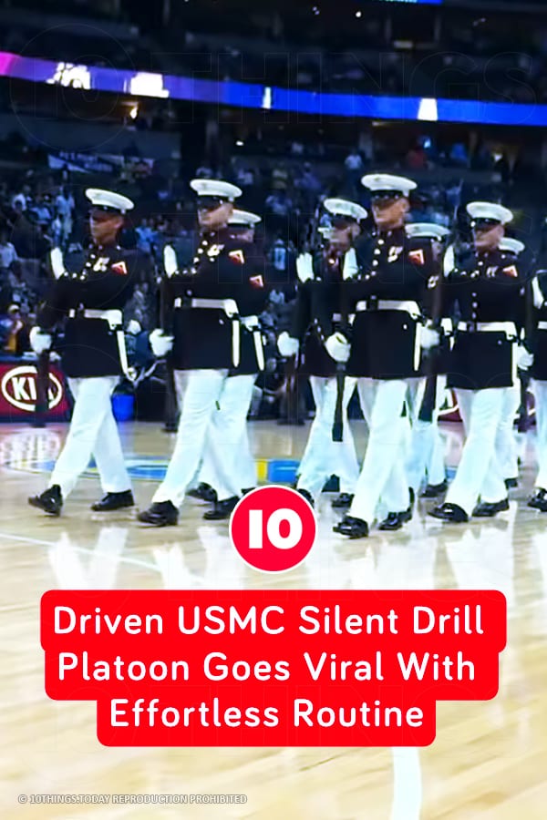 Driven USMC Silent Drill Platoon Goes Viral With Effortless Routine