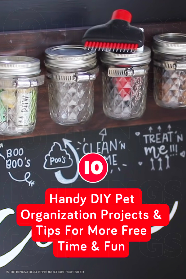 Handy DIY Pet Organization Projects & Tips For More Free Time & Fun
