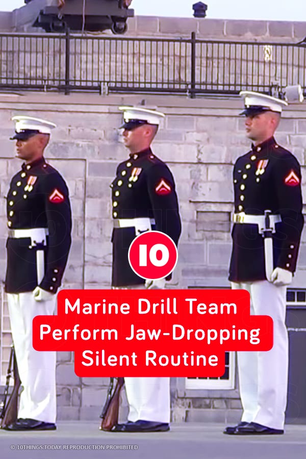 Marine Drill Team Perform Jaw-Dropping Silent Routine