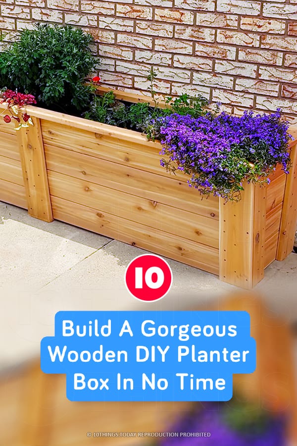 Build A Gorgeous Wooden DIY Planter Box In No Time