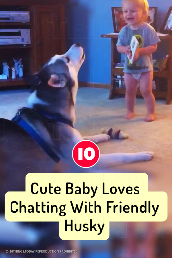 Cute Baby Loves Chatting With Friendly Husky