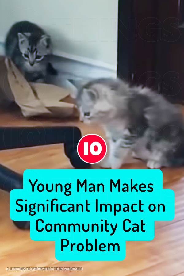 Young Man Makes Significant Impact on Community Cat Problem
