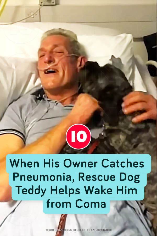 When His Owner Catches Pneumonia, Rescue Dog Teddy Helps Wake Him from Coma