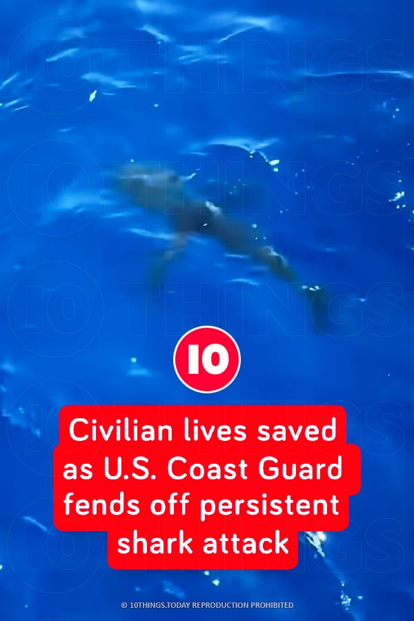 Civilian lives saved as U.S. Coast Guard fends off persistent shark attack
