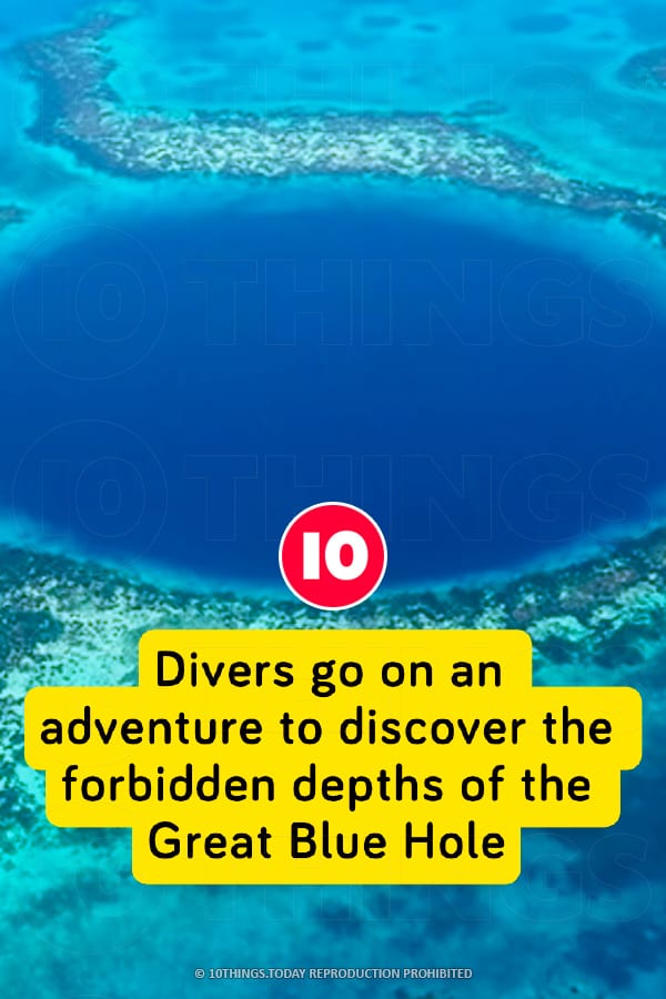 Divers go on an adventure to discover the forbidden depths of the Great Blue Hole