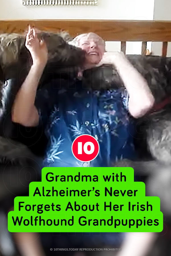 Grandma with Alzheimer’s Never Forgets About Her Irish Wolfhound Grandpuppies