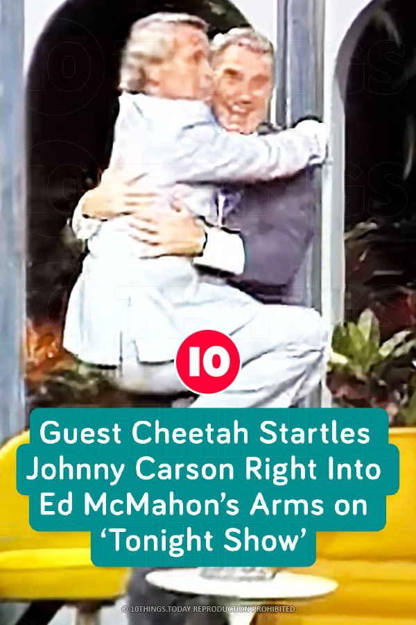 Guest Cheetah Startles Johnny Carson Right Into Ed McMahon’s Arms on ‘Tonight Show’