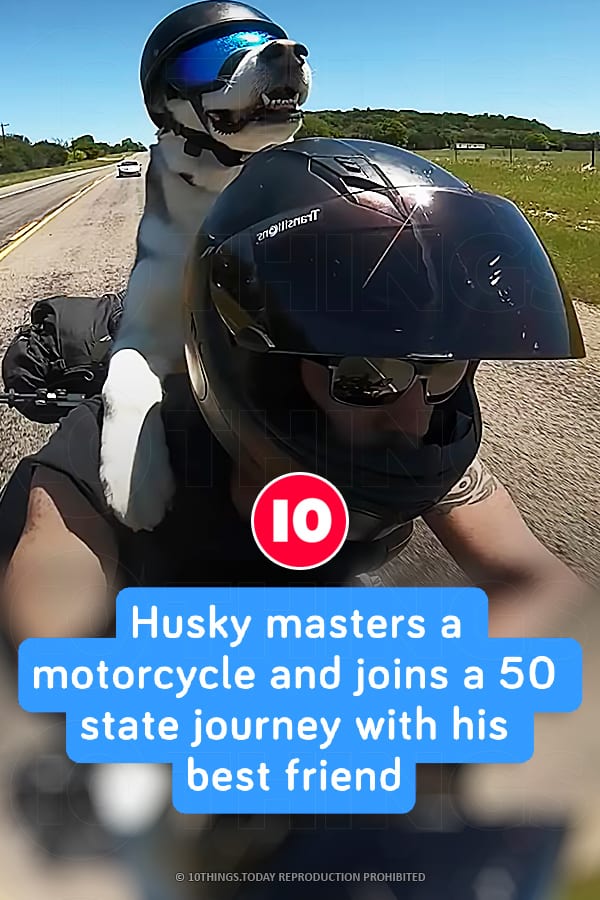 Husky masters a motorcycle and joins a 50 state journey with his best friend