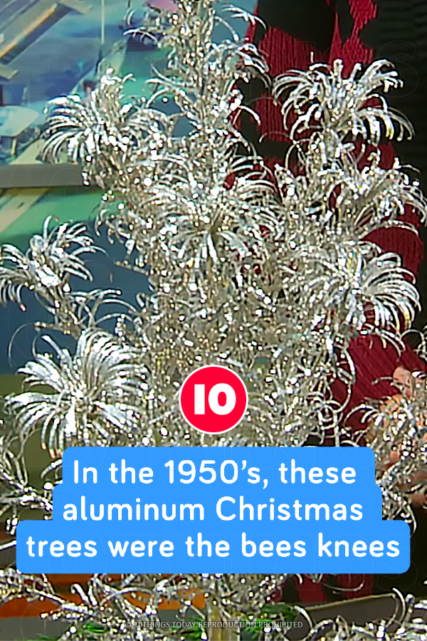 In the 1950’s, these aluminum Christmas trees were the bees knees