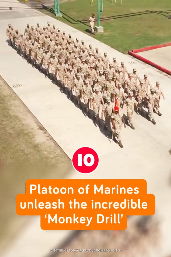 Platoon of Marines unleash the incredible ‘Monkey Drill’