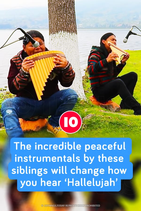 The incredible peaceful instrumentals by these siblings will change how you hear ‘Hallelujah’