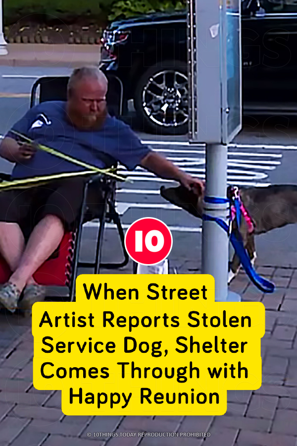 When Street Artist Reports Stolen Service Dog, Shelter Comes Through with Happy Reunion