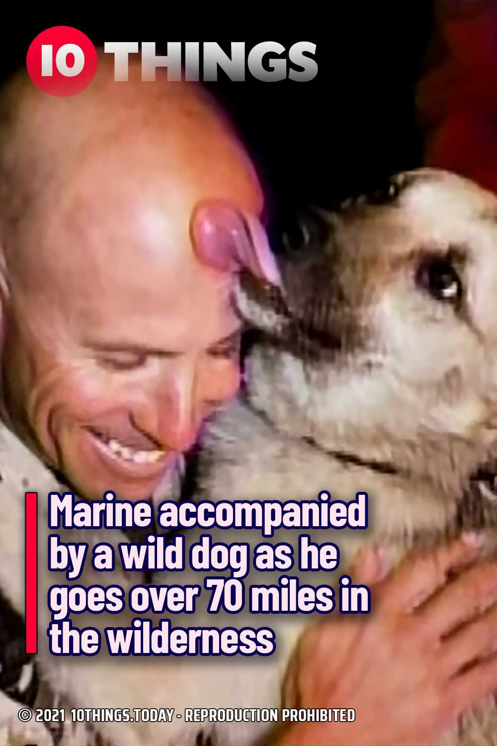 Marine accompanied by a wild dog as he goes over 70 miles in the wilderness
