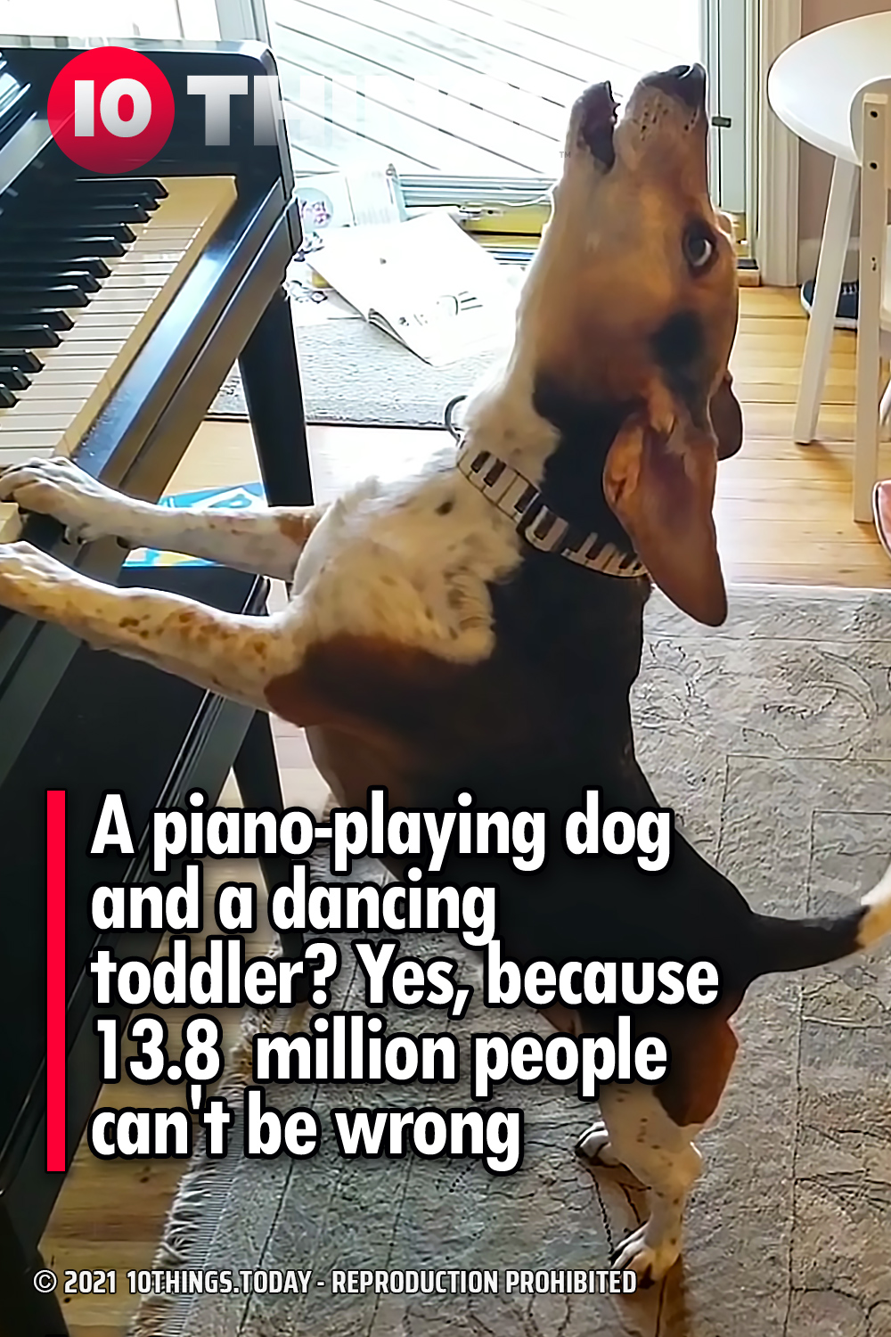 A piano-playing dog and a dancing toddler? Yes, because 13.8  million people can\'t be wrong